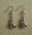 Aquarius Charm Earrings